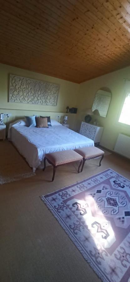 Vivienda El Olivo Con Piscina Privada Y Jardin. Villa Ayegui Exterior foto